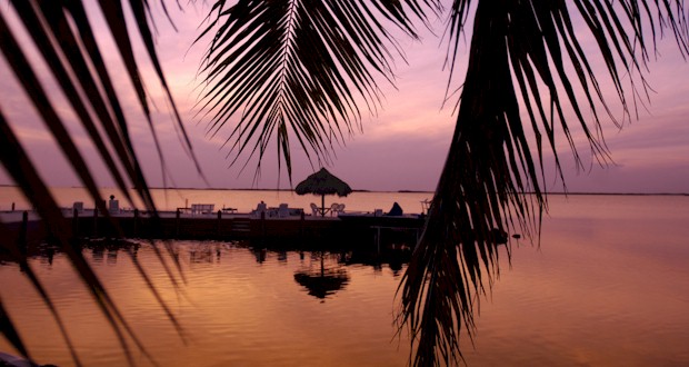 Colorful Florida Keys #sunset #palmtree #beach, FLTravelLife.com